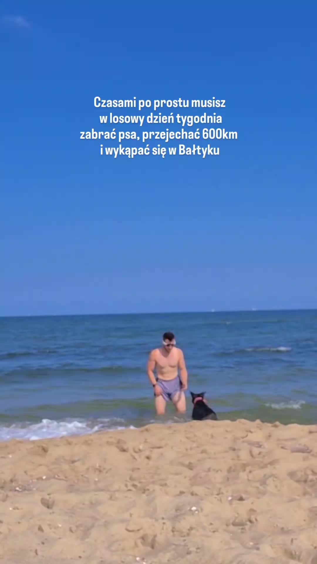 @przyBULLski