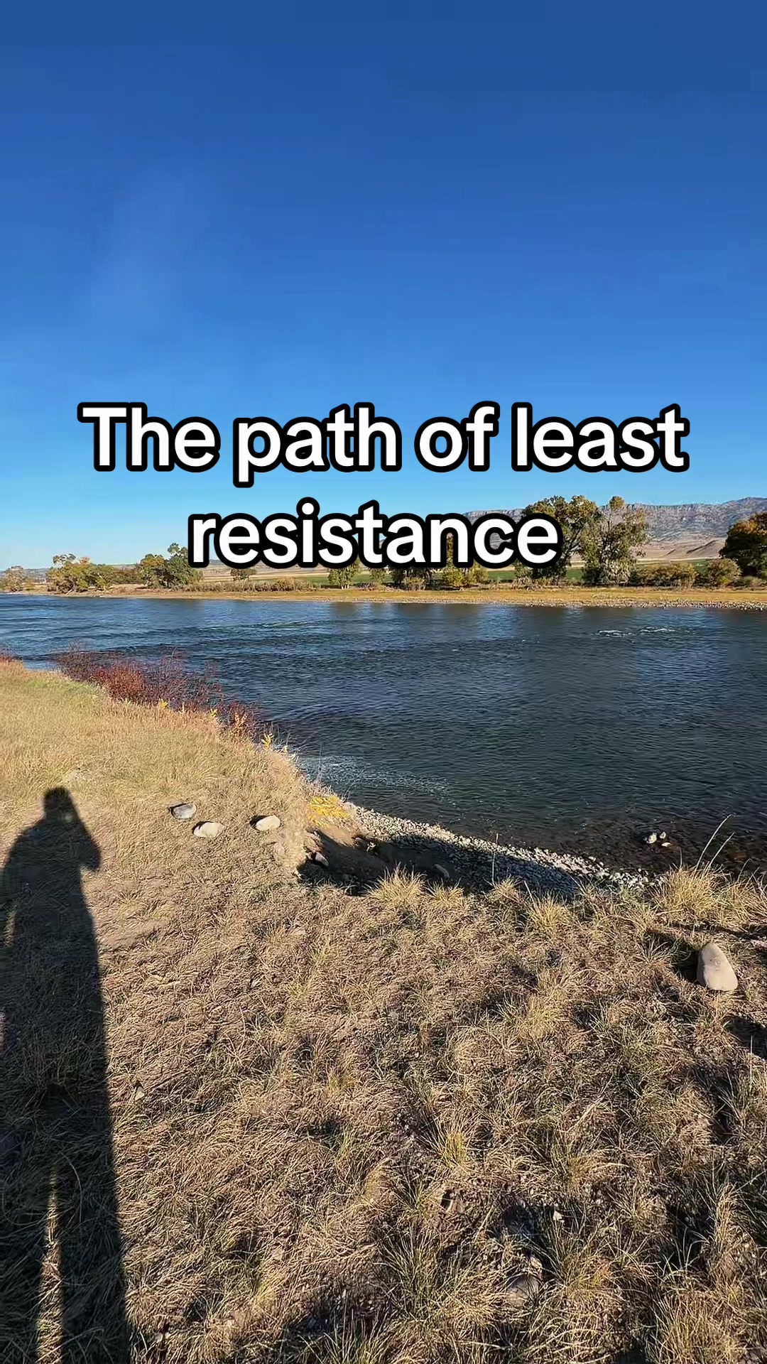 @Deathlyhollow