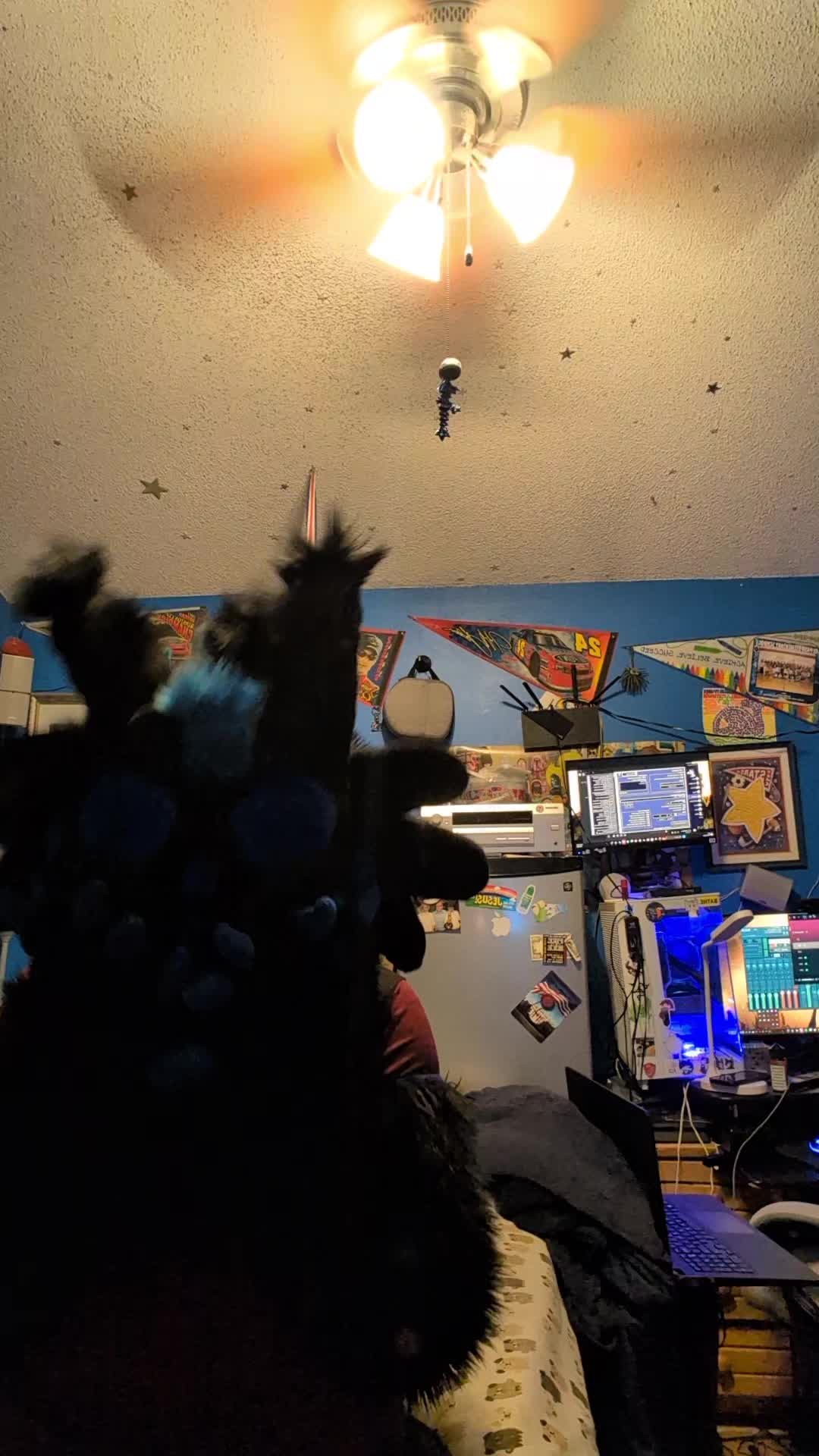 @DashTheNightFuryTaidum