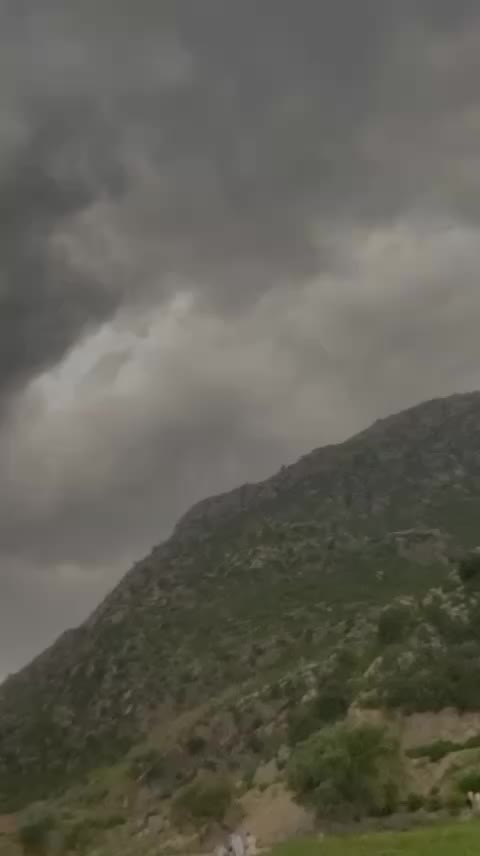 @SHAHZADA🦁🤚