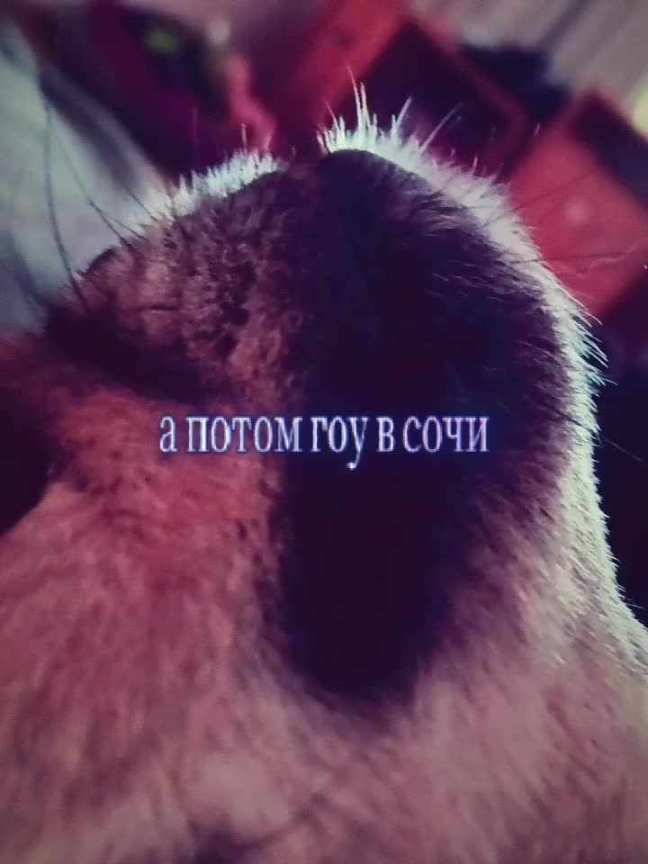 @Zlatimka