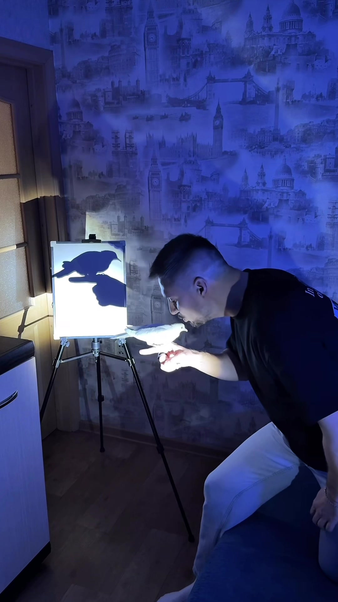 @theostrovsky