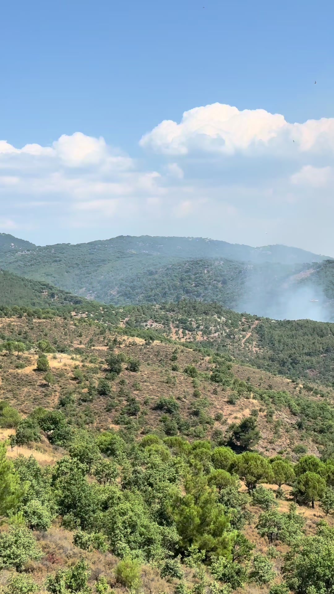 @Ümit Yanar