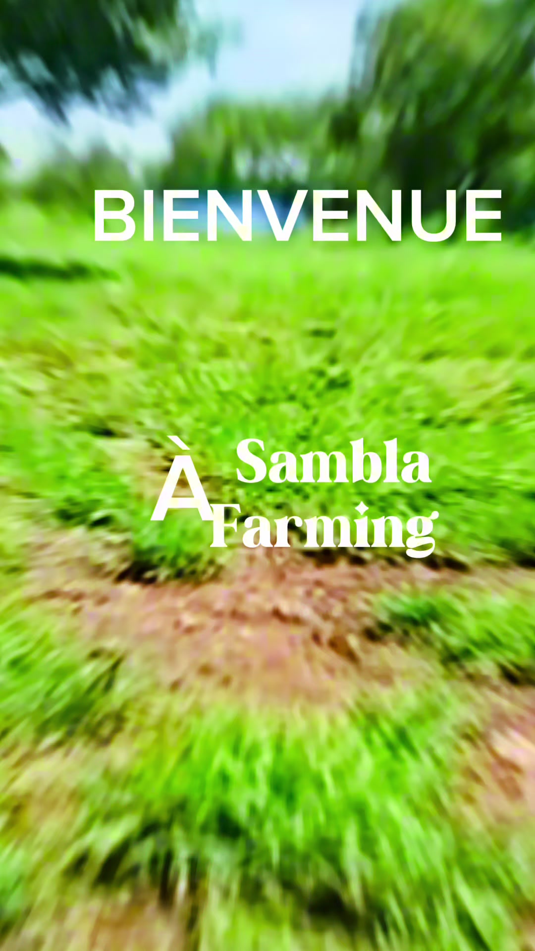 @Sambla Farming