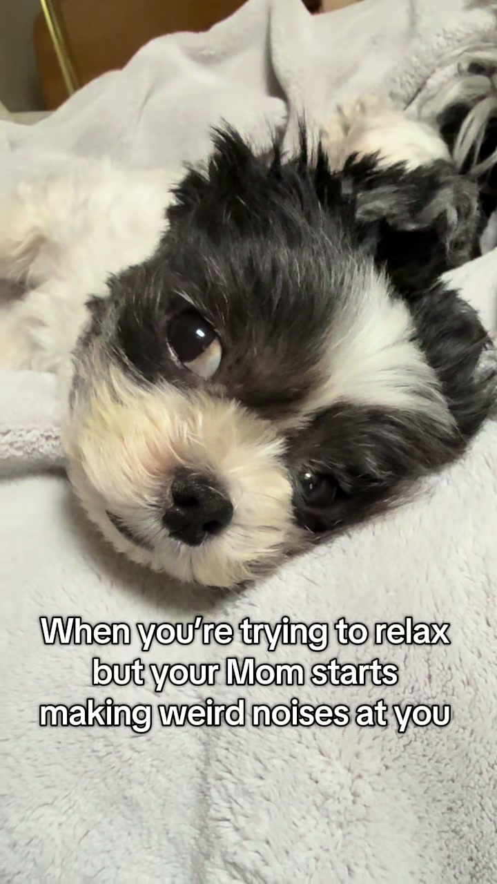 @LittleLuna.and.Lola