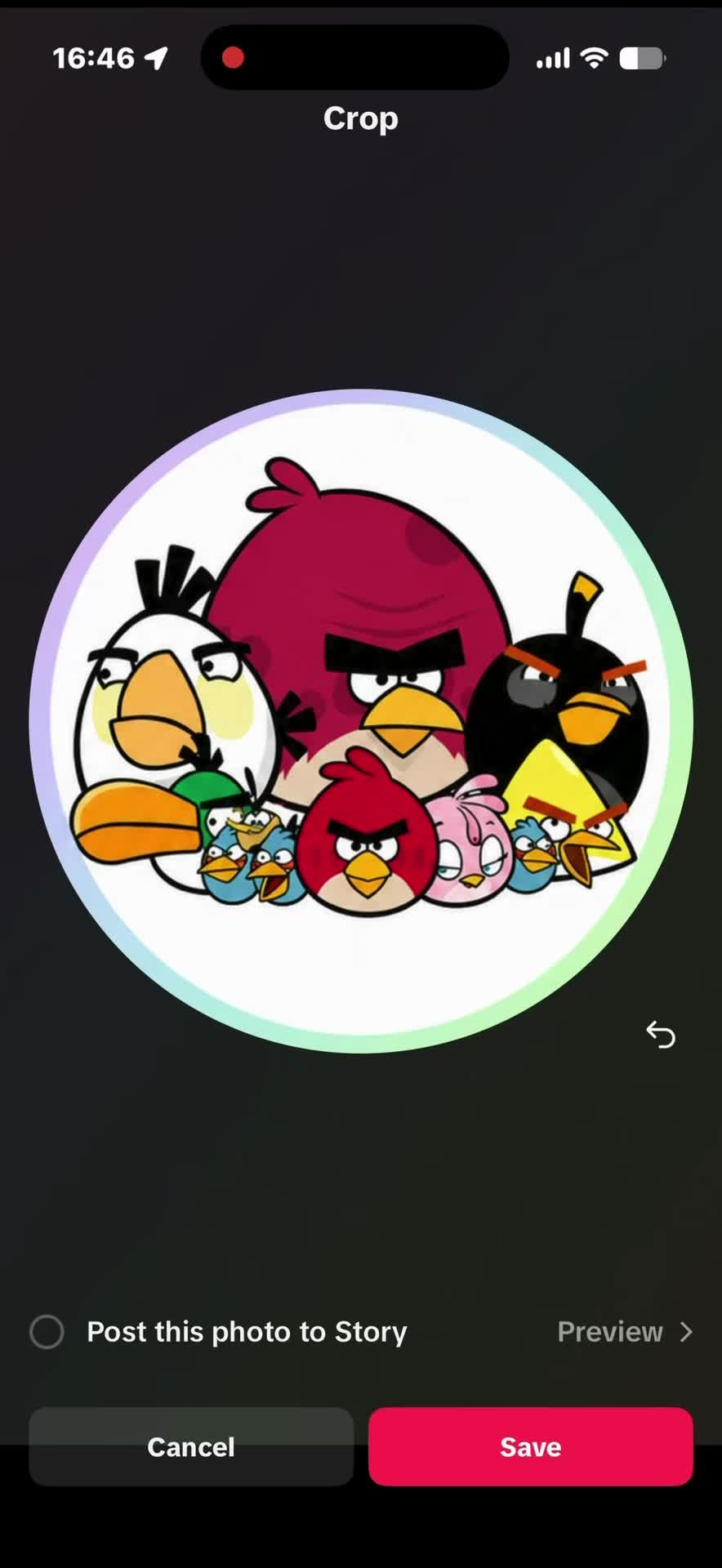 @AngryBirdsMemes