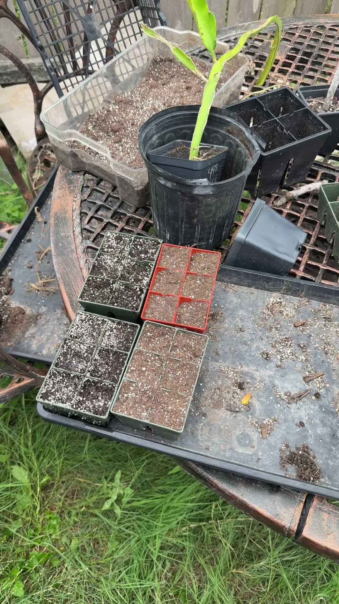 @themagicvalleygardener