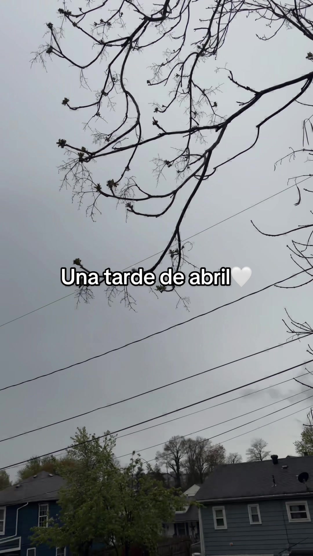 @idaliac10