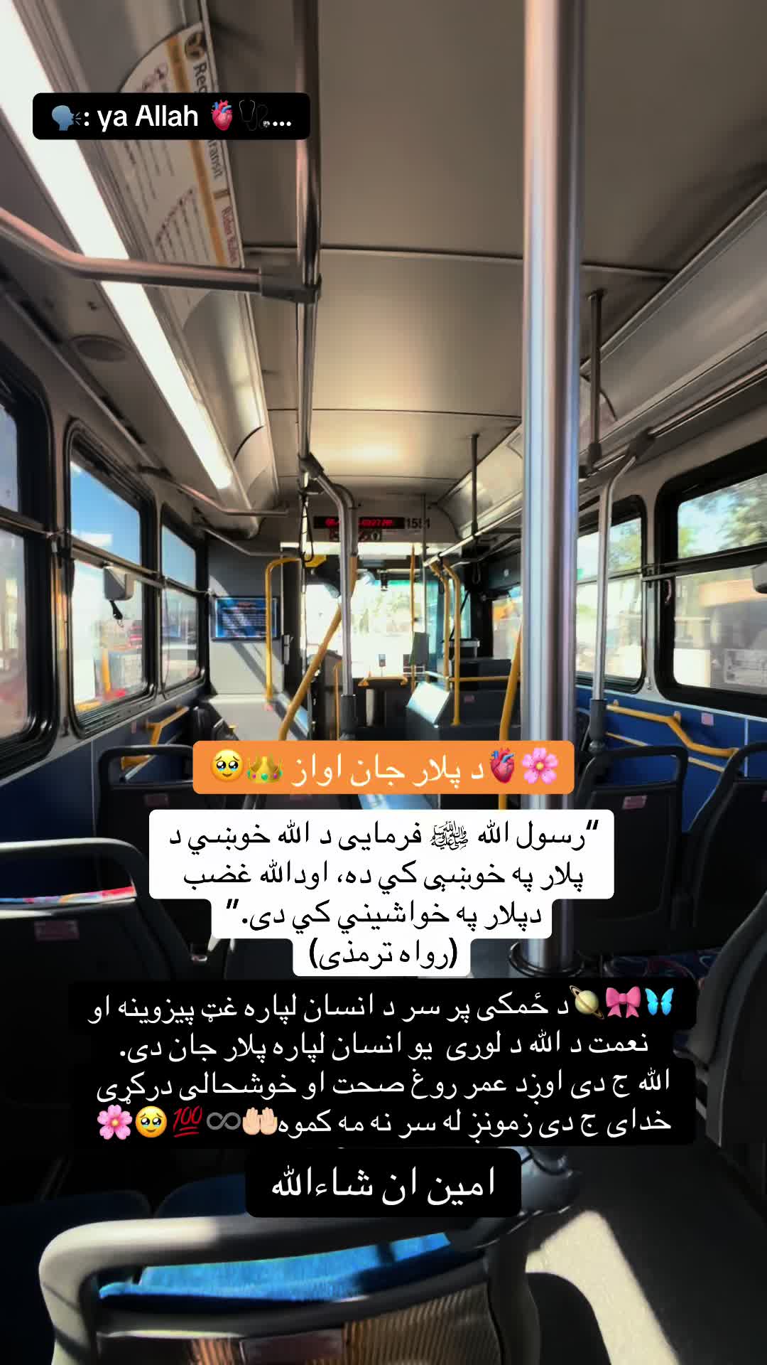 @👑🩺~Jannat~🤍🦋🇺🇸