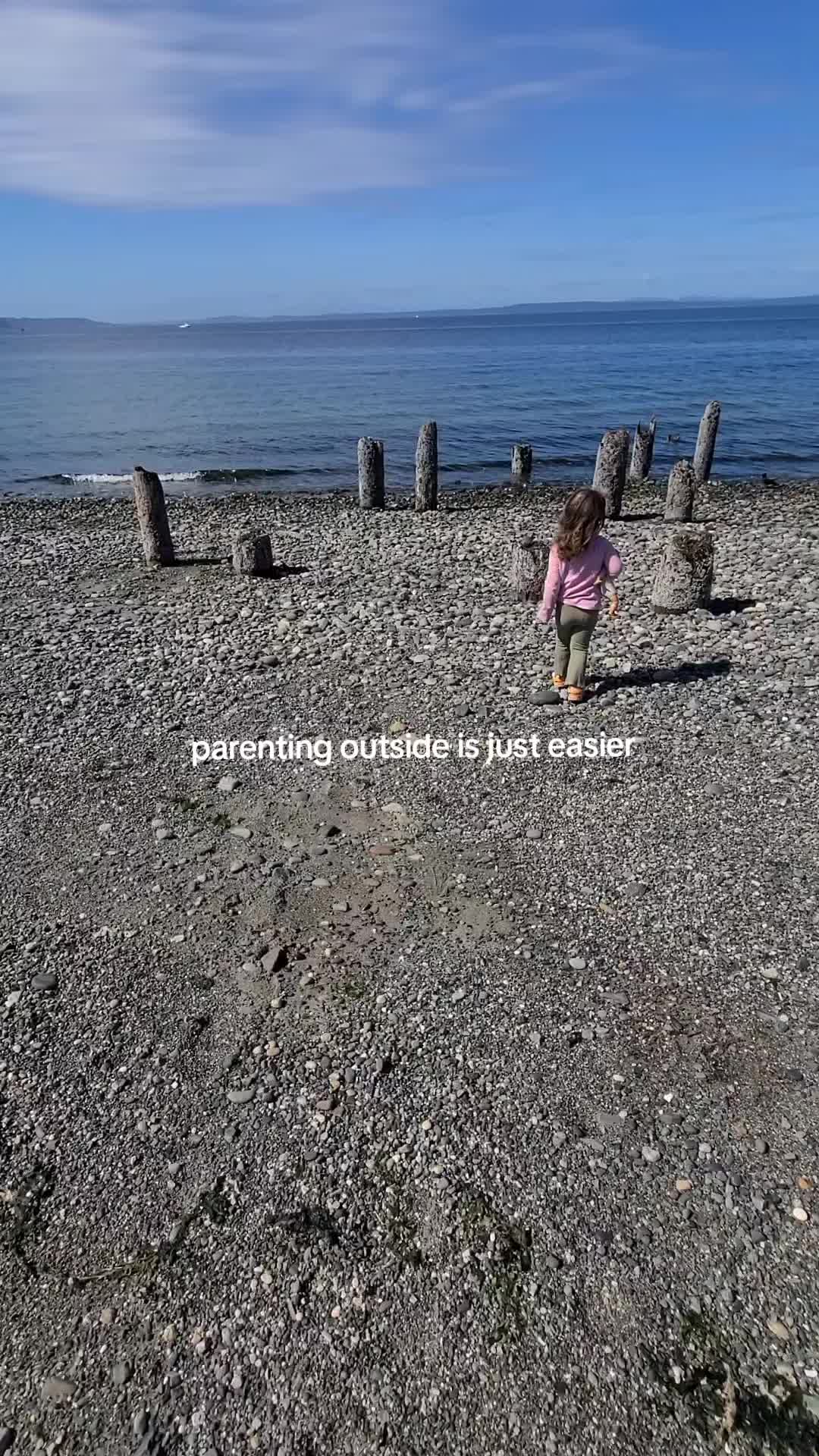 @Shelbee 🐝