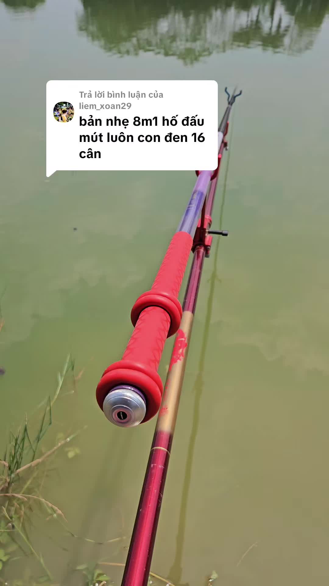 @Dũng Nguyễn Fishing