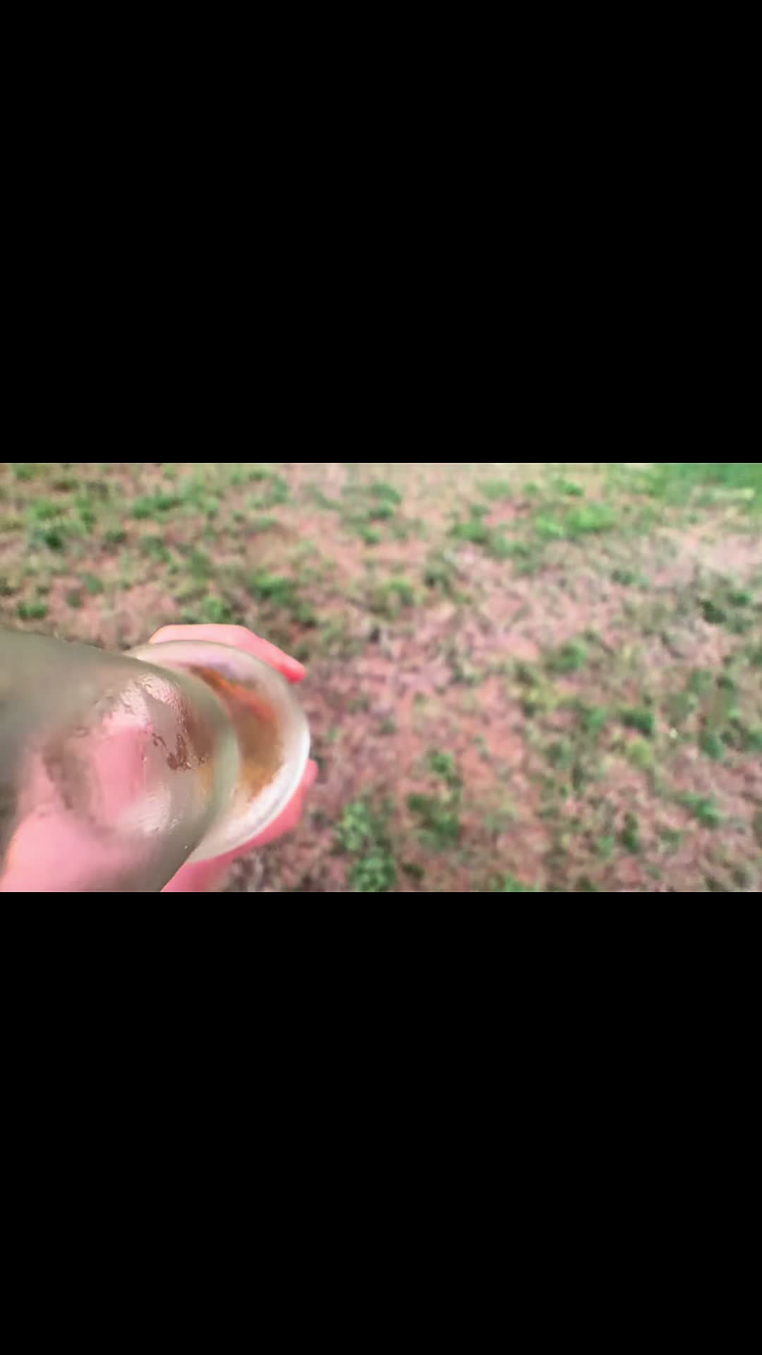@Zomblights
