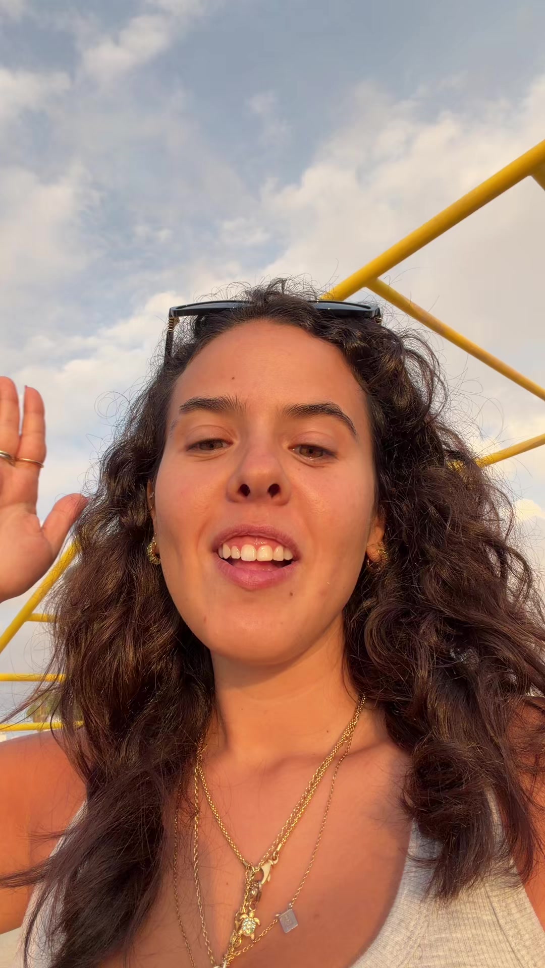 @nenas teixeira