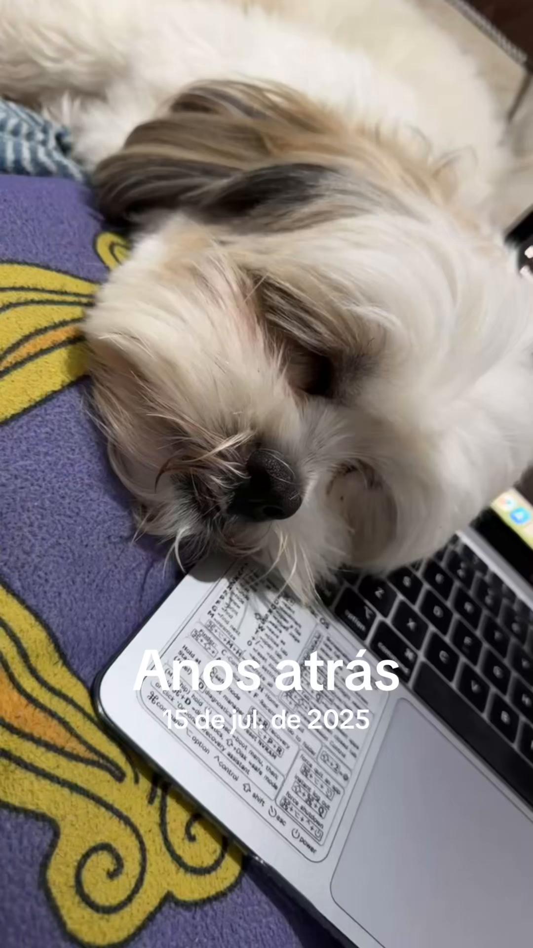 @Elis Journal