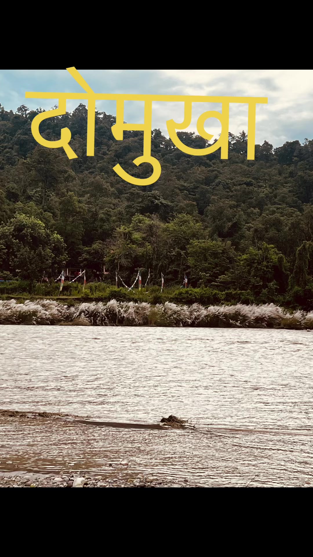 @kalpana thapa