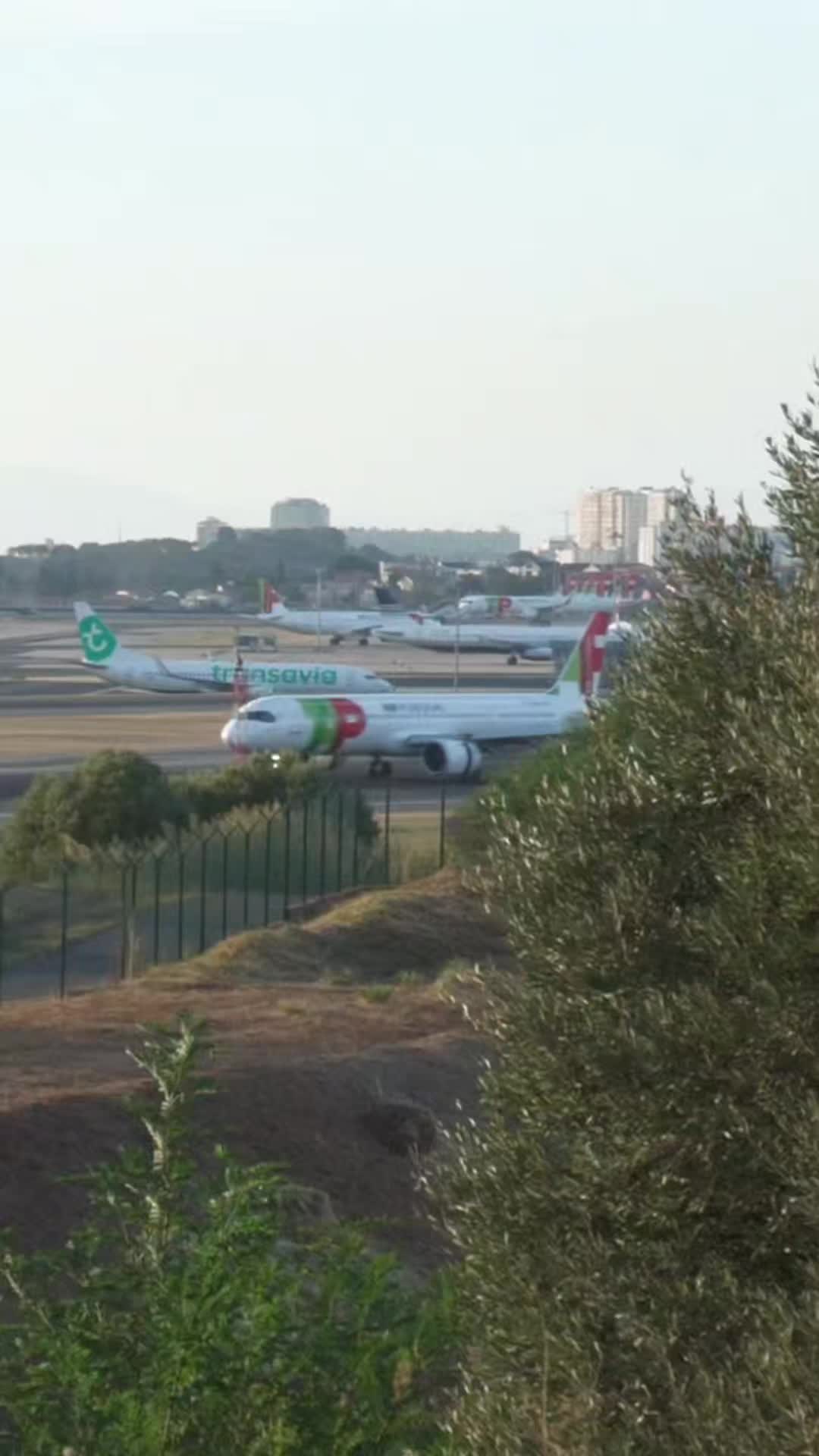 @Lisbon Spotting