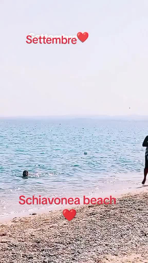 @Salvo66