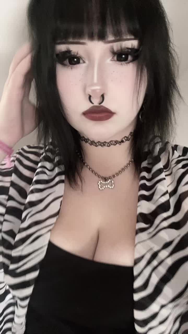 @mimi 🐾