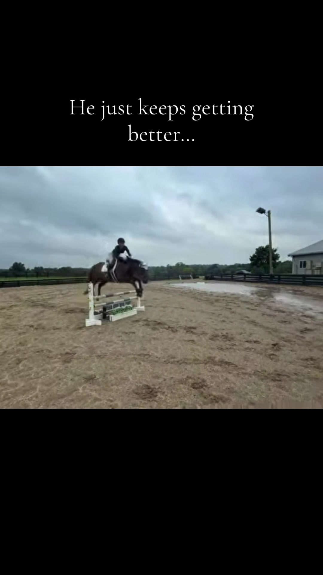 @elliemorrisequestrian