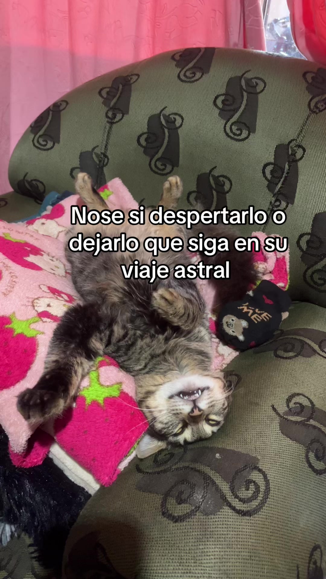 @yos🍒
