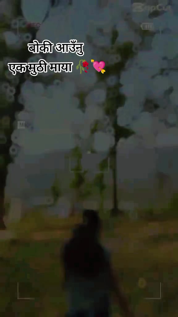 @चाँदनी 🌜