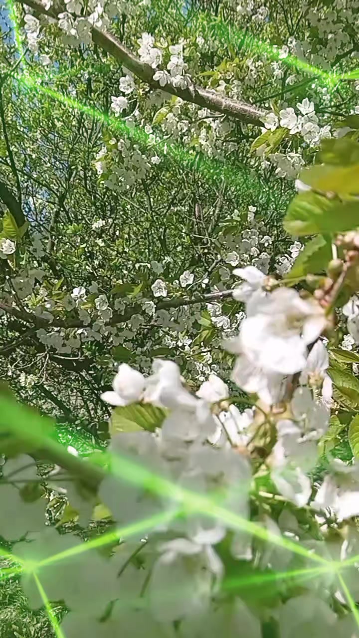@Танюшка74