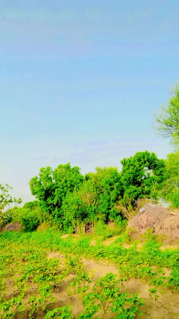 @Shameer Rathor