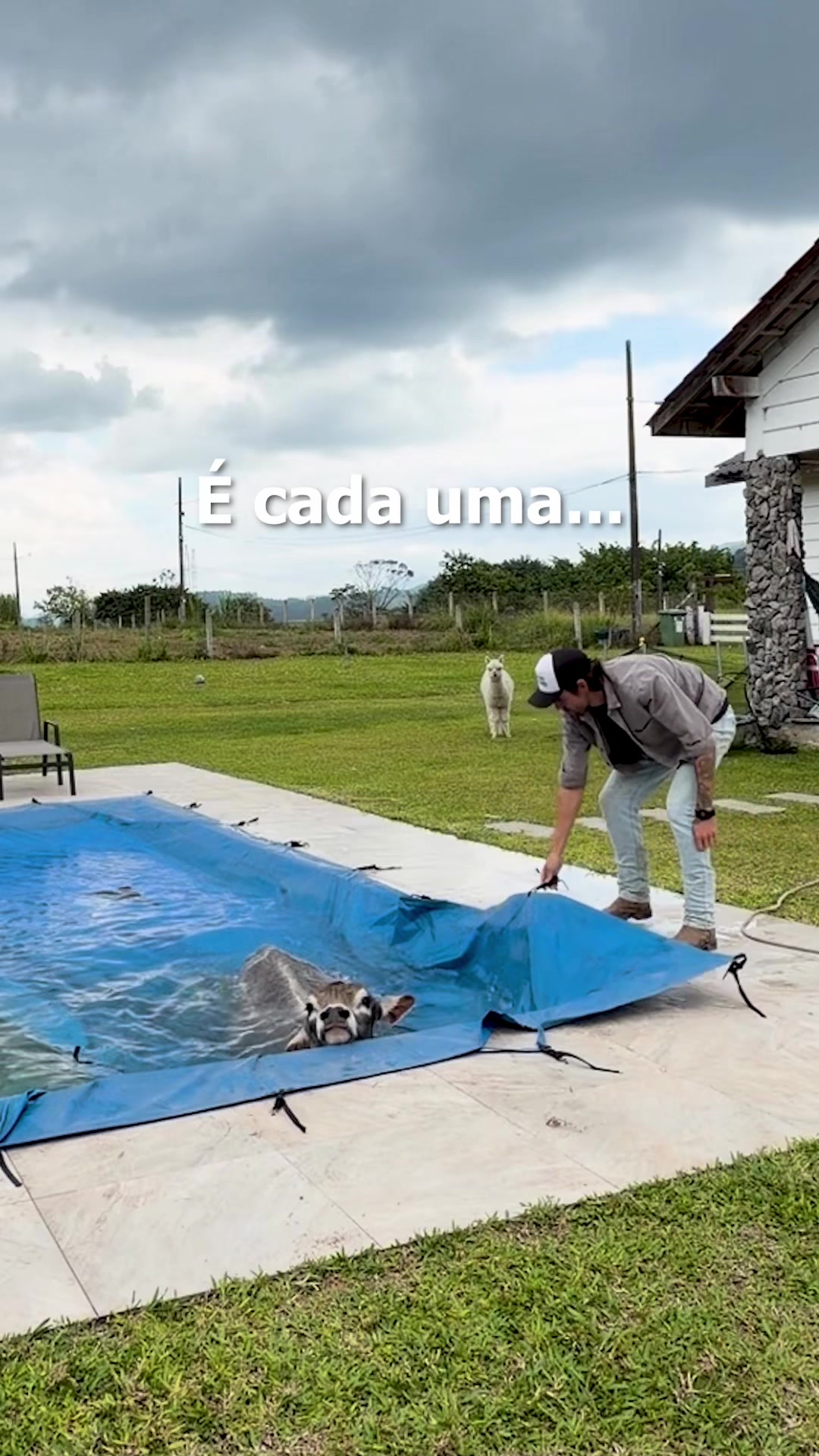 @Lipe Peixoto