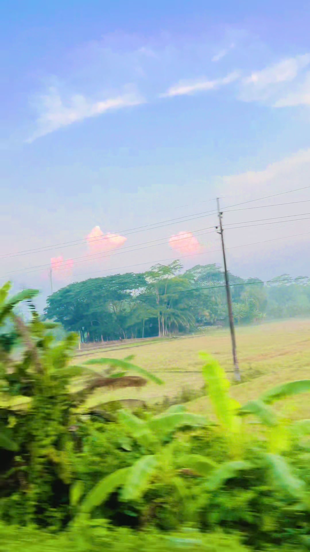 @Mahfuz 4k
