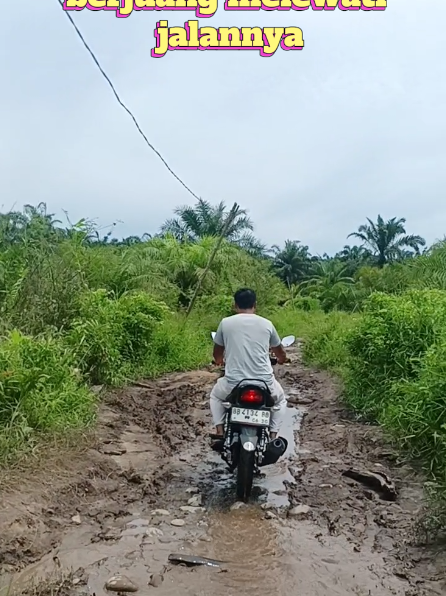 @Parsumbul Julu