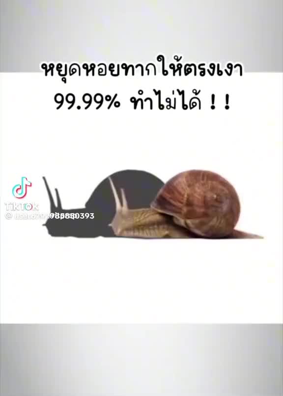 @ฟิวส์เว้ย🔥🔥🔥🔥🔥🔥🔥