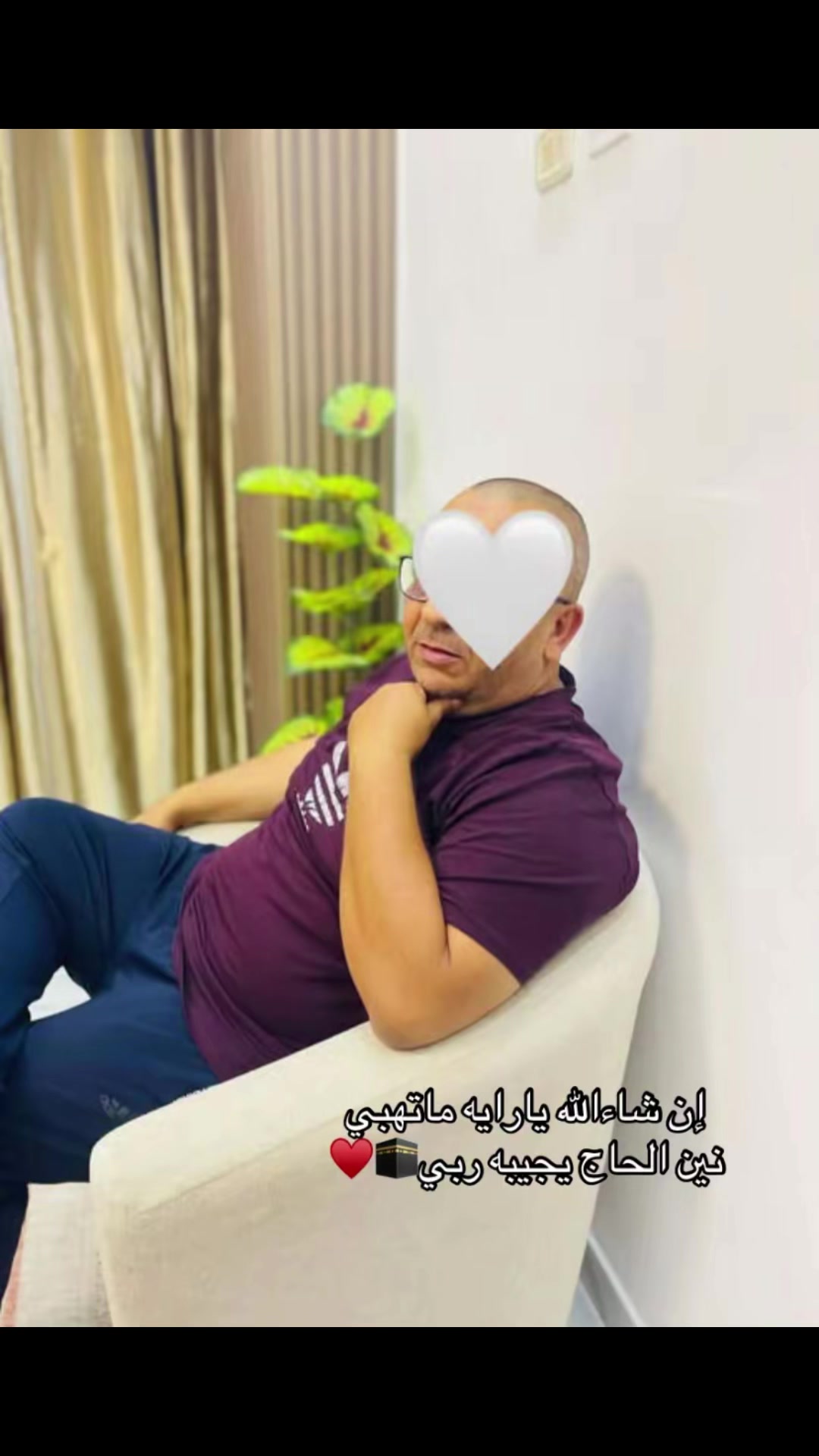 @areegmohammed97