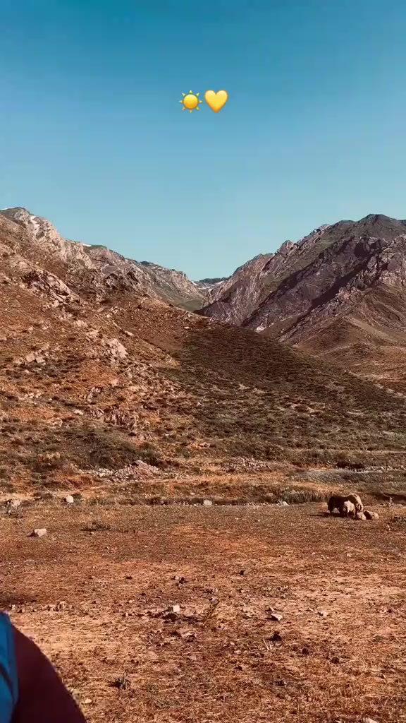 @imdat doğan