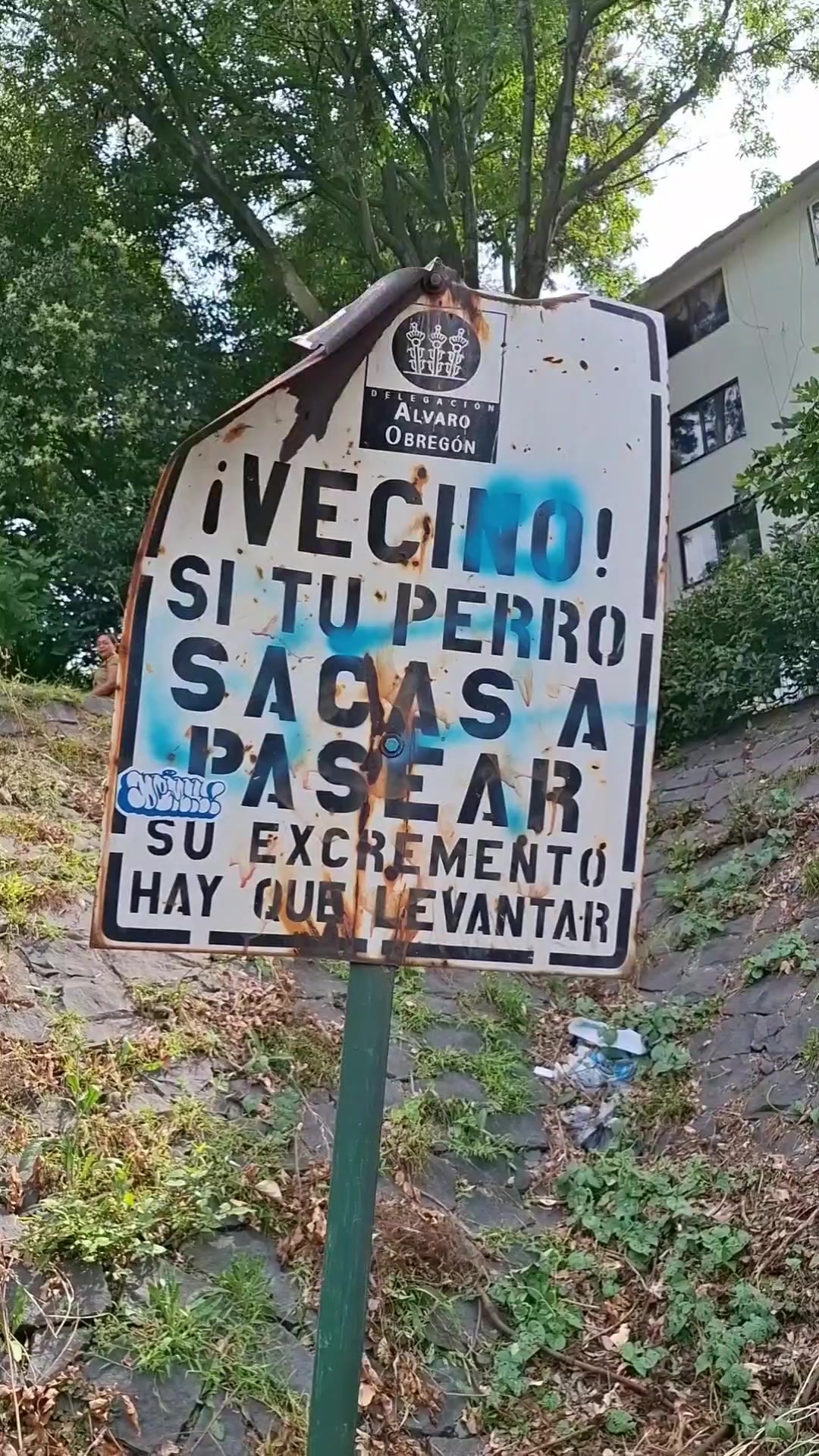 @Lufloro