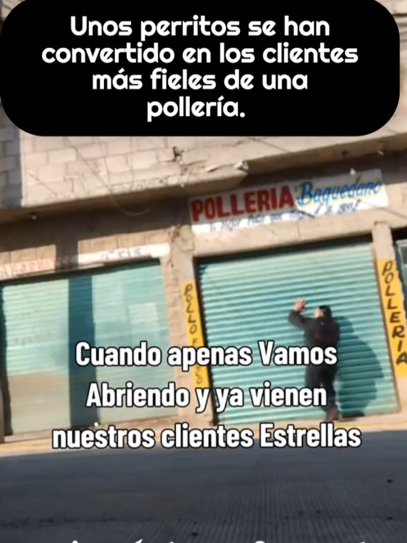 @El Regional del Sur