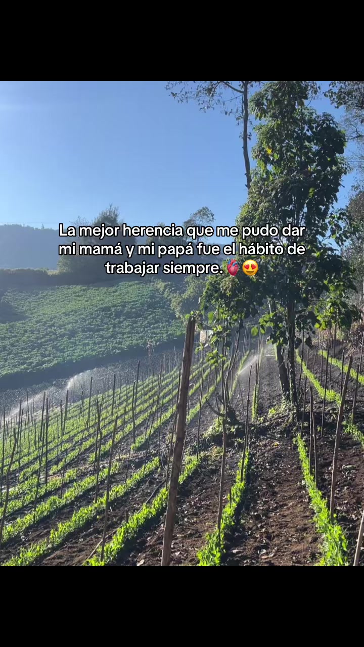 @Victor🌱🚜