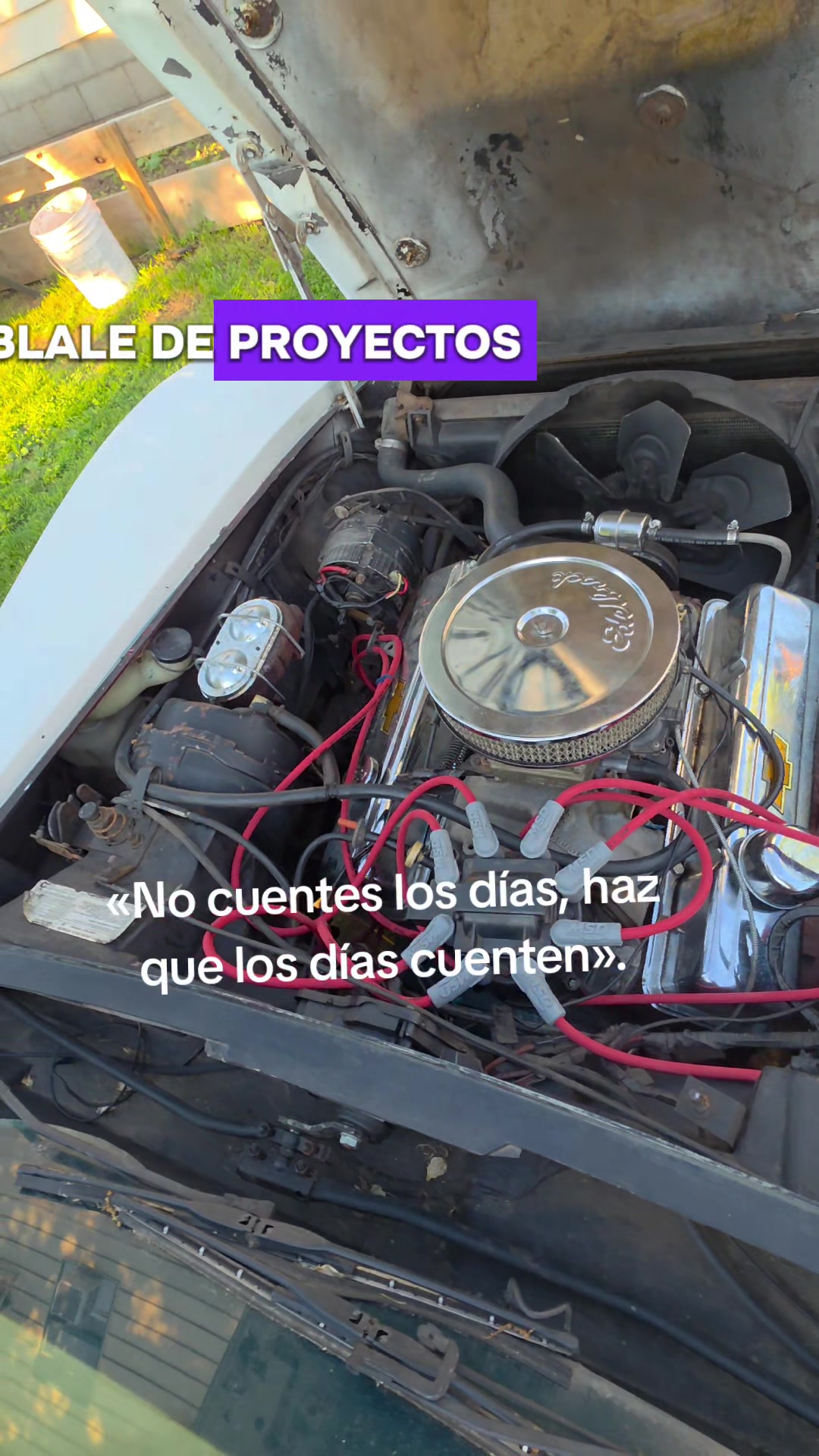 @ruma