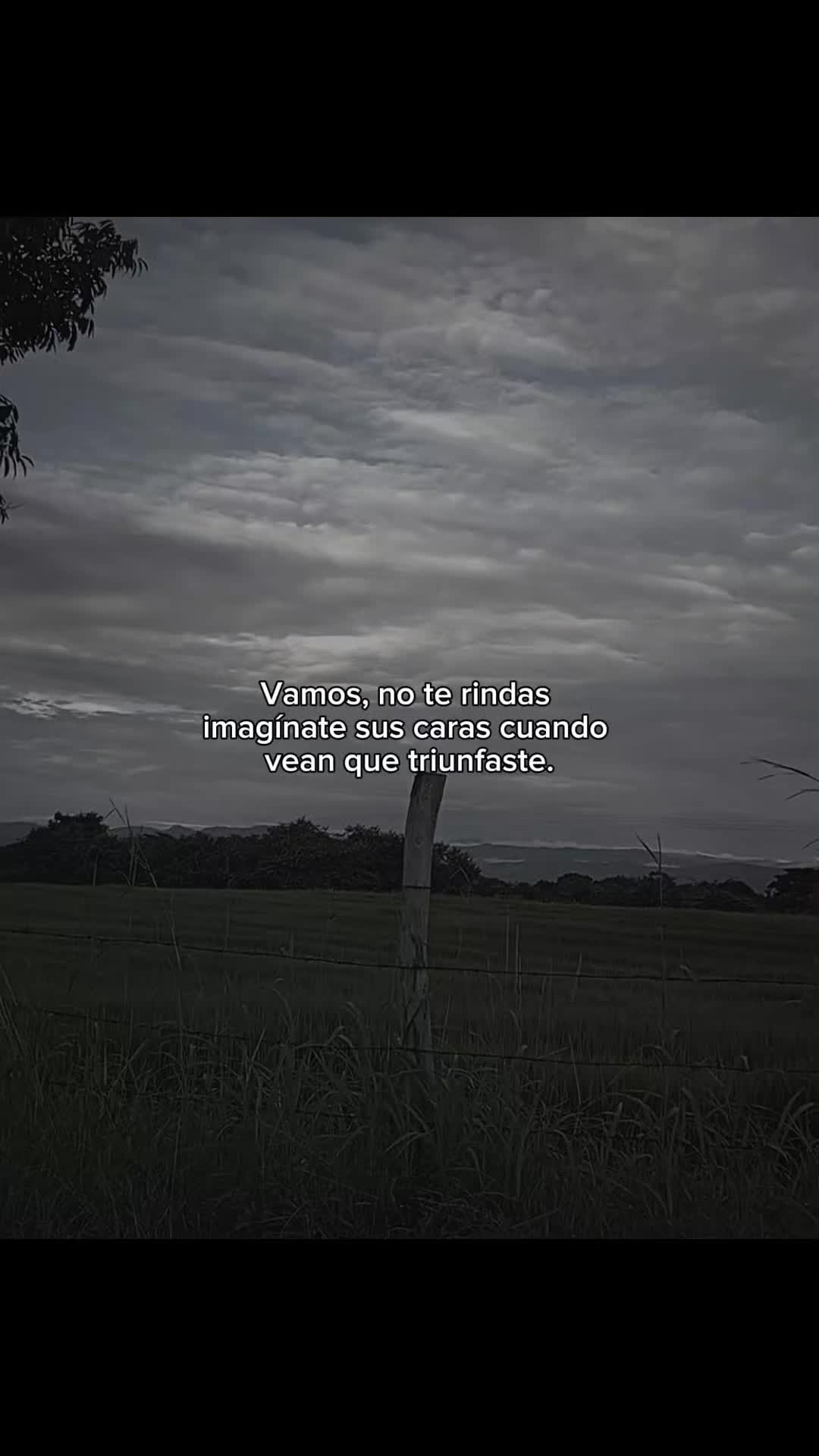 @N a t u r e