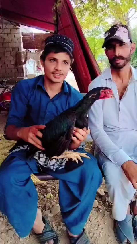 @Mubeen Malik