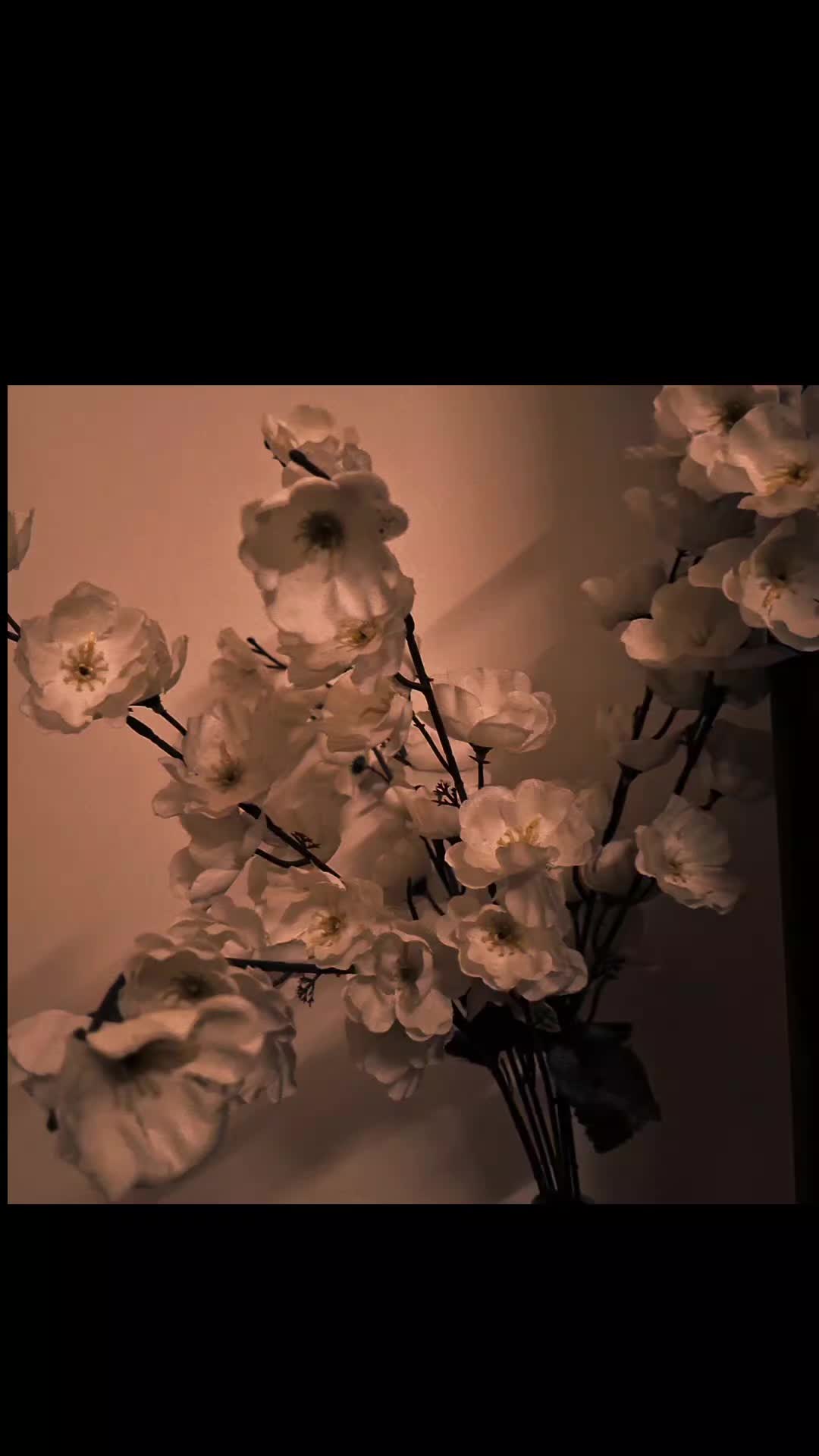 @زلیخہ🌸🦋