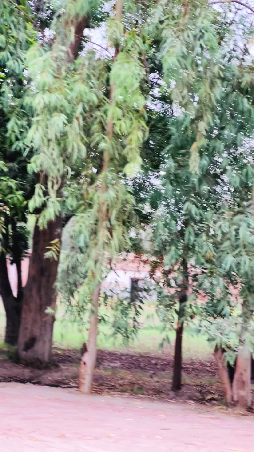 @i 𓂀 𝕊𝕒𝕢𝕚𝕓 ℕ𝕚𝕒𝕫𝕚 𓂀