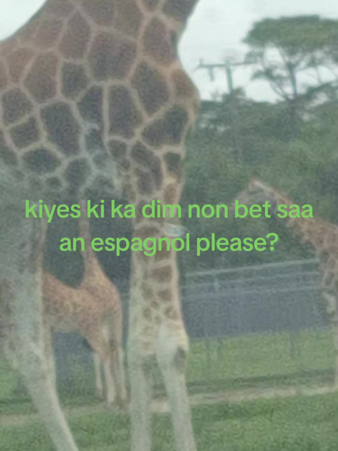 @mama