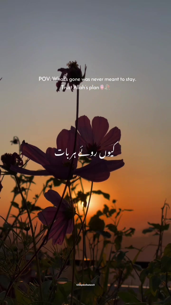 @Amna Mir❥