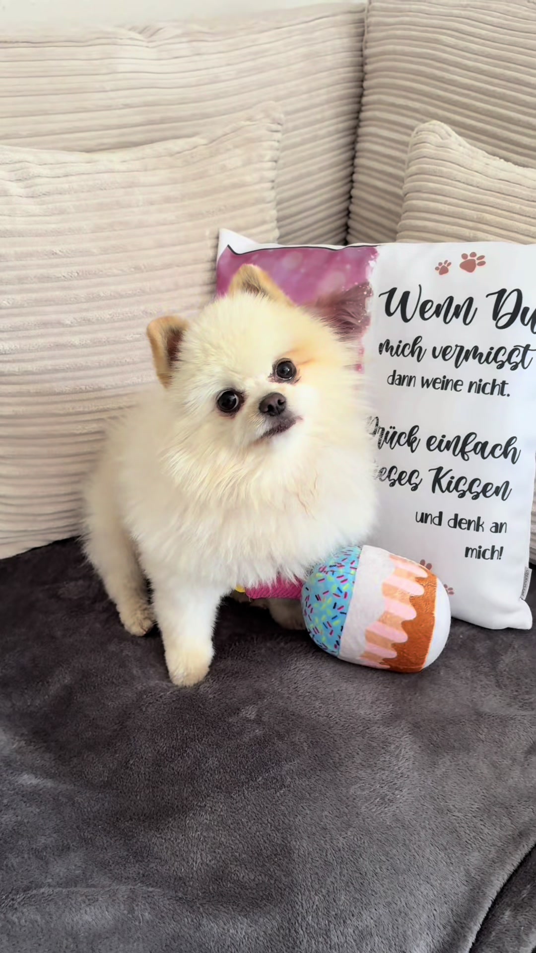 @dieKuschelpuschels🥐 🌸