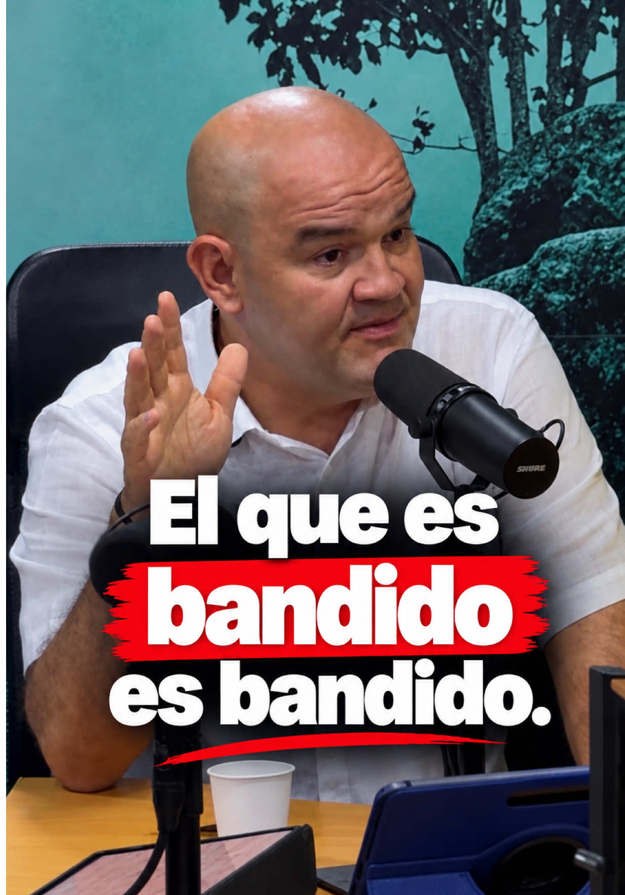 @chichorodriguezp