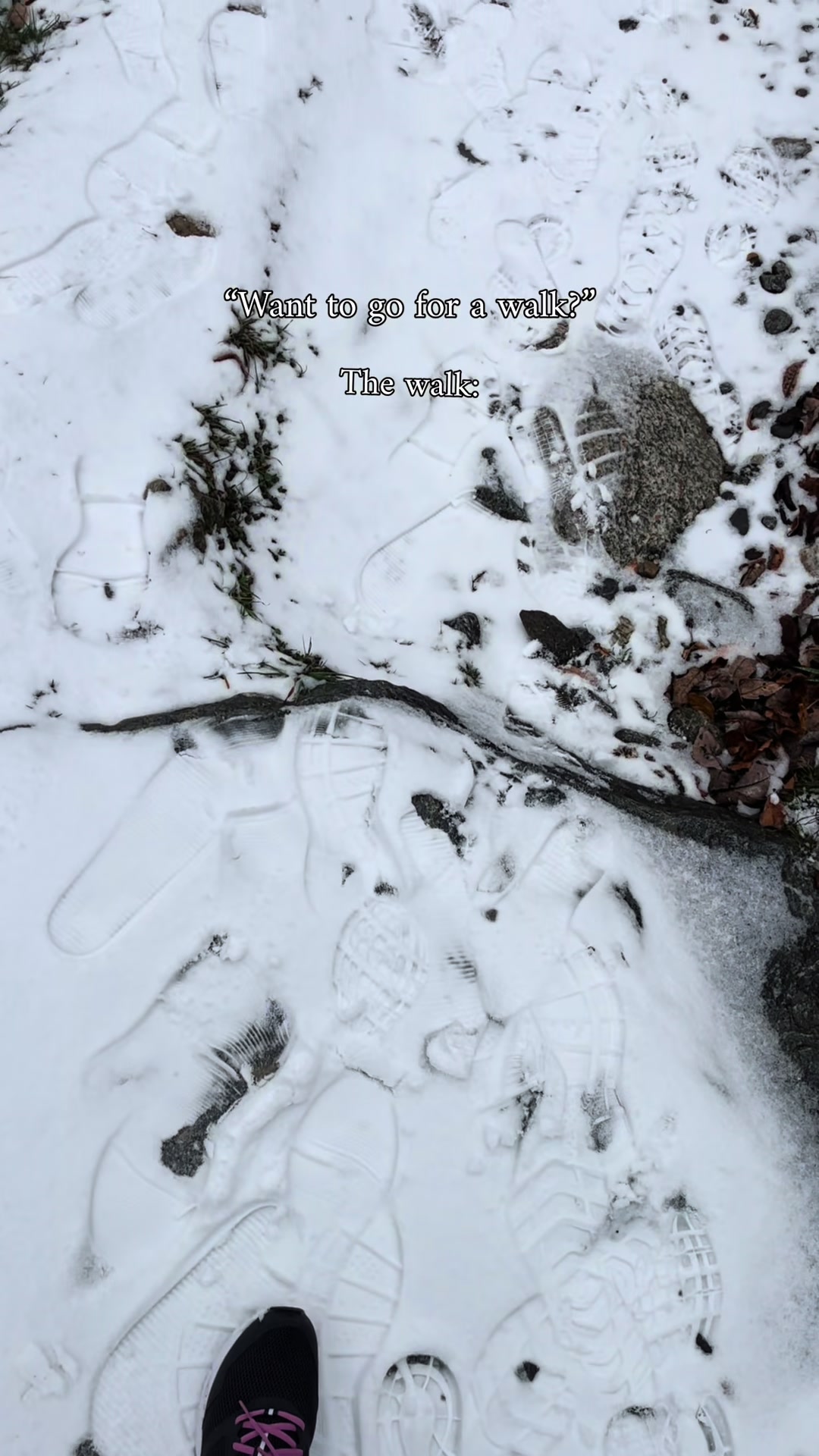 @𝕽𝖔𝖘𝖎𝖊