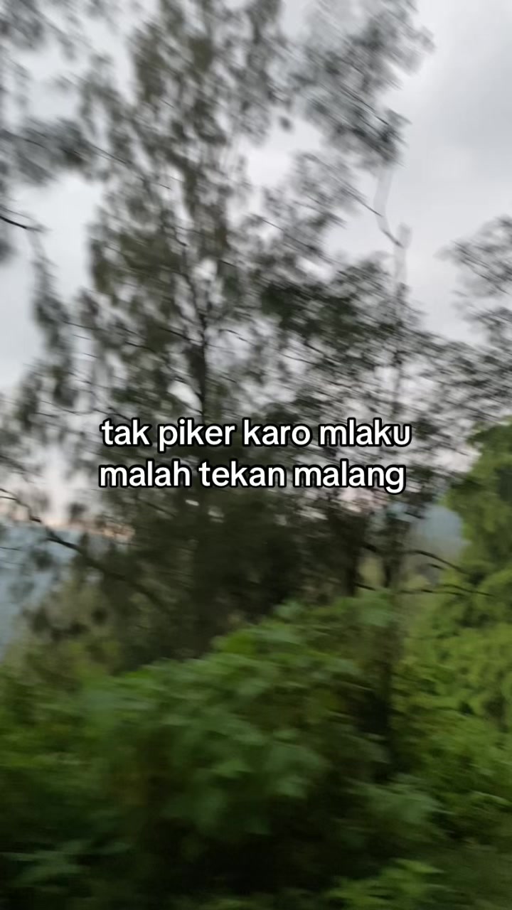 @🪽