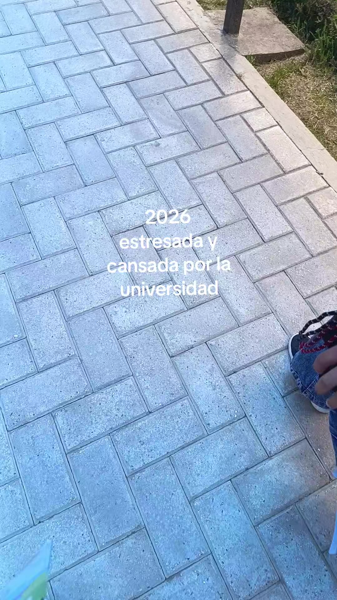 @M&aacute;rely<3