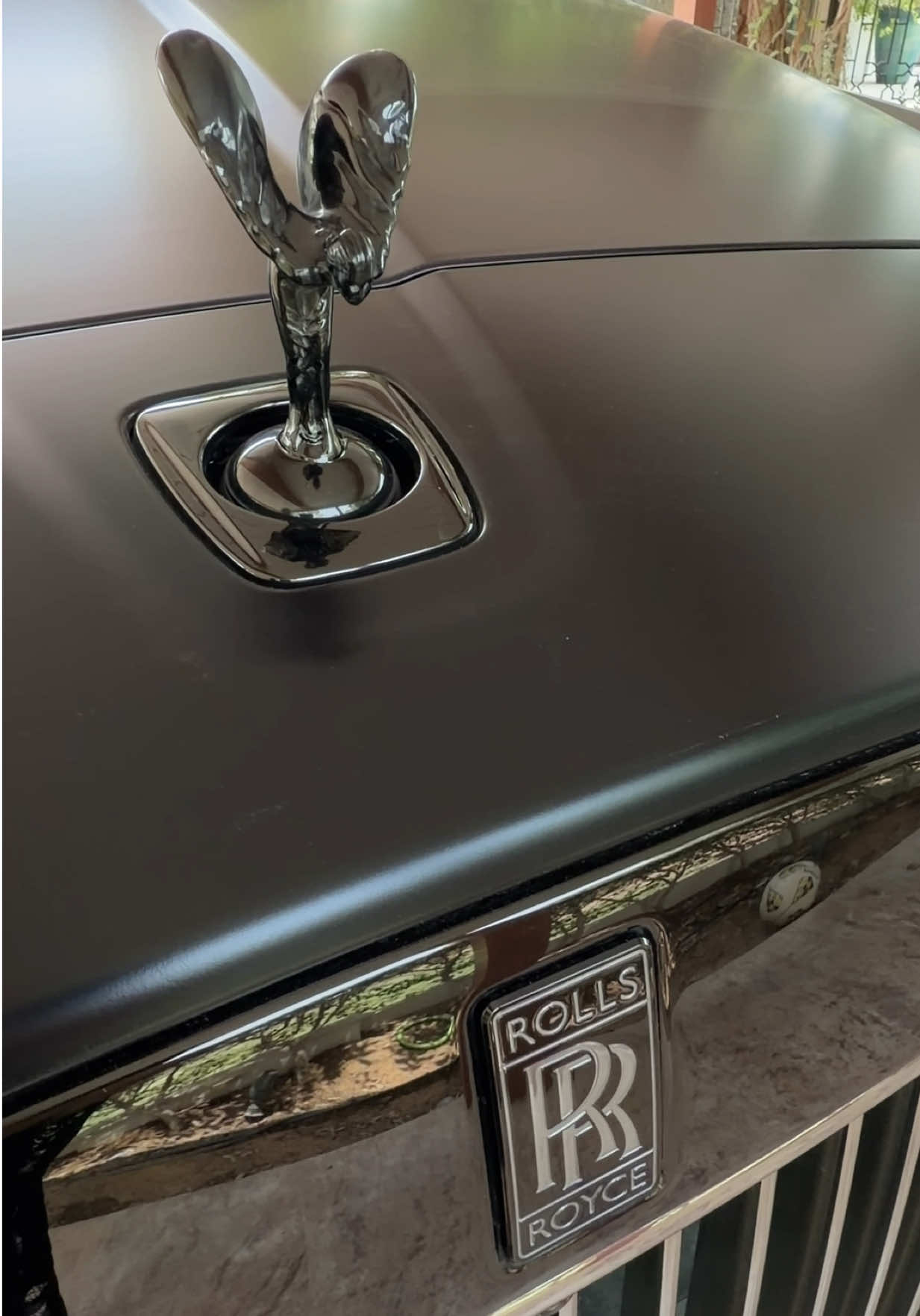 @Leyla Brunton