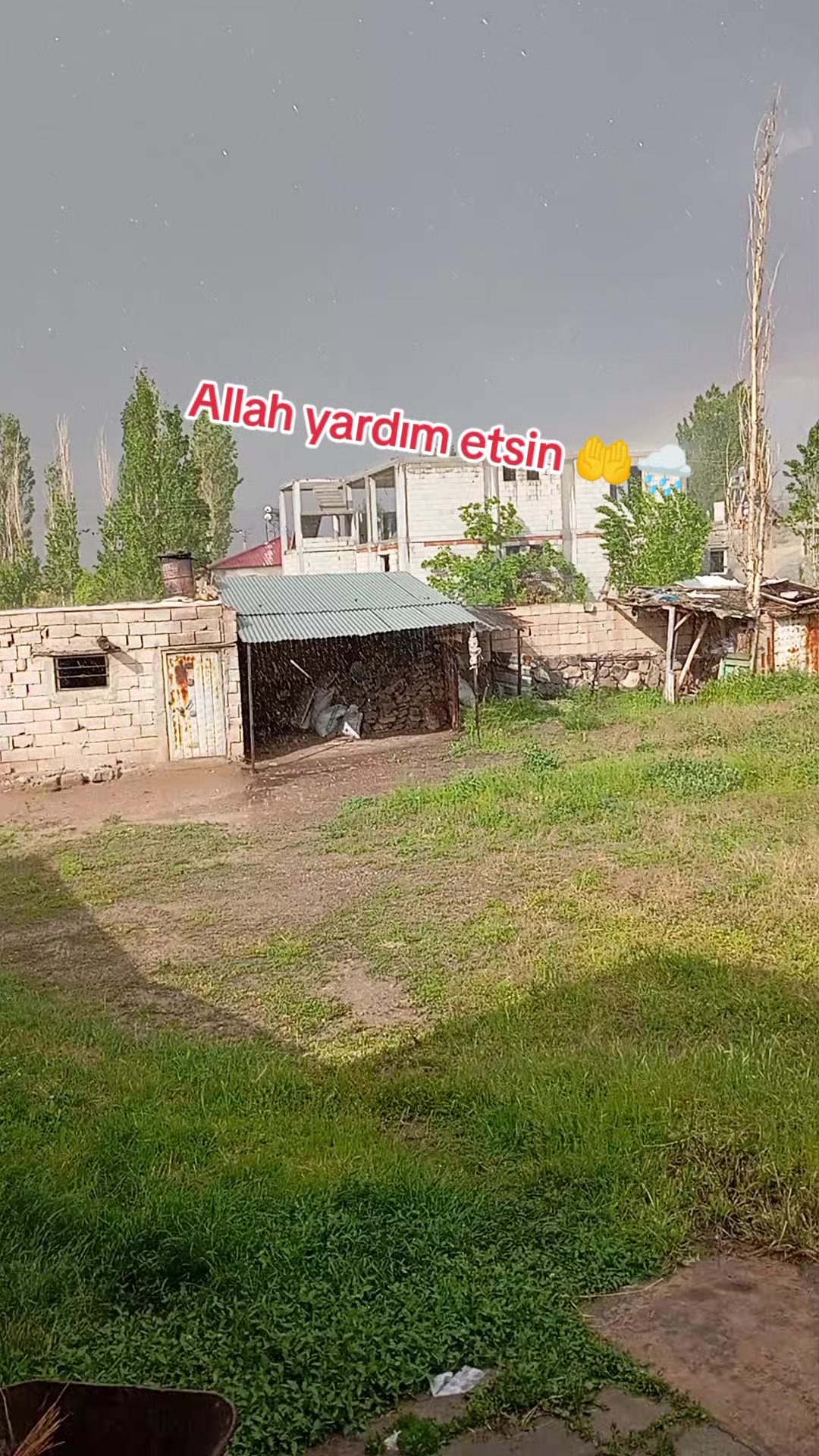 @bazidli adem04